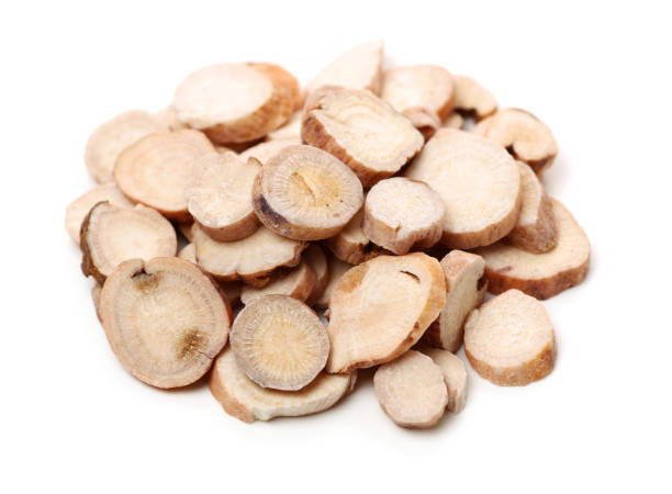 istock Cynanchum otophyllum Schneid 1187969447