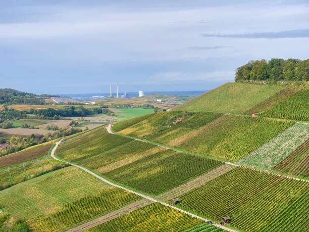 Vineyard landscape Vineyard landscape heilbronn stock pictures, royalty-free photos & images