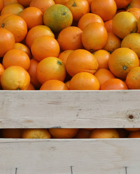 istock oranges in boxes for sale in the organic fruit store 1187974092