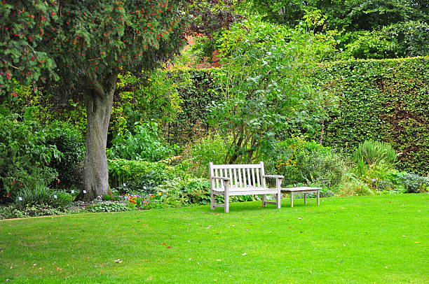 istock Park Bench in a cottage garden 118797444