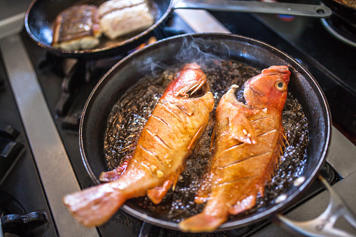 Chef preparing fish or seafood meal