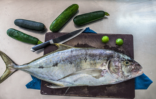 Chef preparing fish or seafood meal