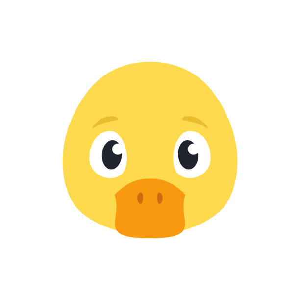Duckling The Head Of The Animal Cute Cartoon Character Stock Illustration -  Download Image Now - iStock