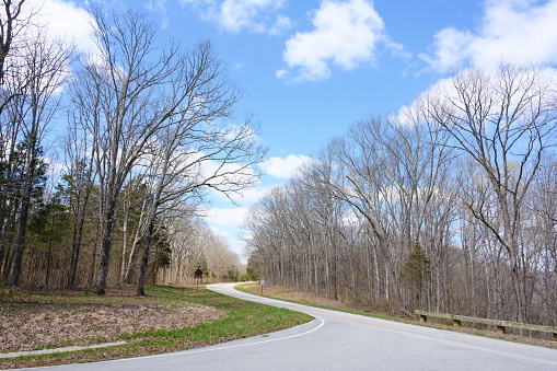 Beautiful day blue sky with curve road and trees in the side way, USA