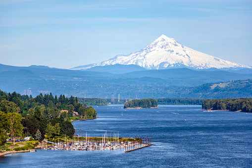Landscaping with Columbia River and marina with yachts and boats on the background hills with trees and Snowy Mount Hood