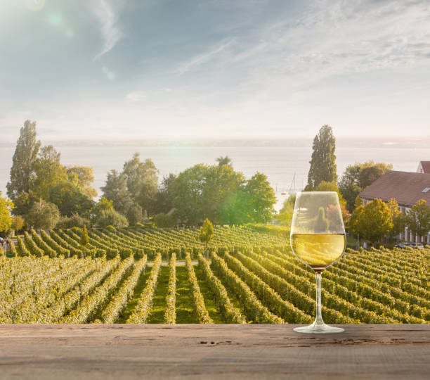 bicchiere di vino su rotaia di legno con scena rurale di campagna sullo sfondo - barossa valley foto e immagini stock