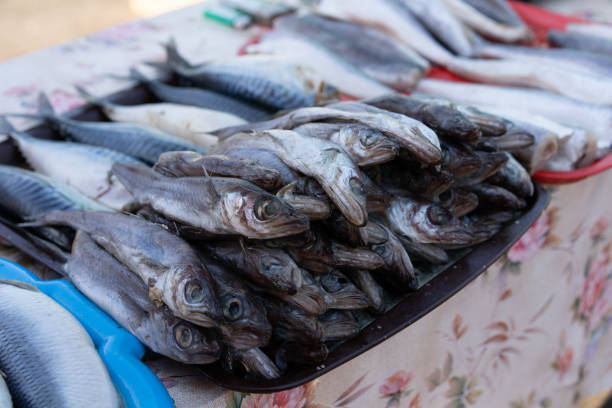 istock Fish on the counter for sale. 1187989529
