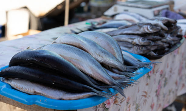 istock Fish on the counter for sale. 1187989572