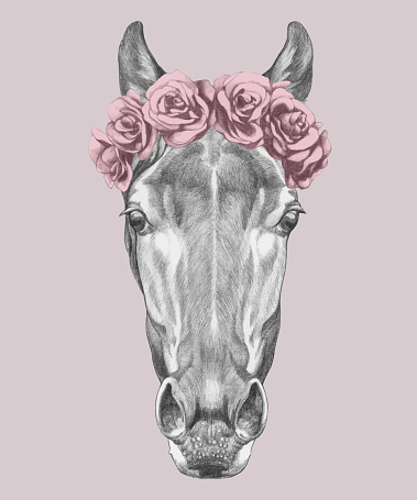 Portrait of Horse with floral head wreath. Hand-drawn illustration. Vector isolated elements.