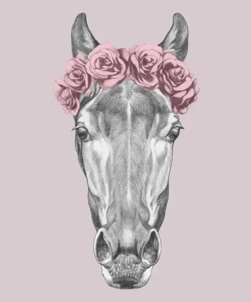 Vector illustration of Portrait of Horse with floral head wreath. Hand-drawn illustration. Vector isolated elements.