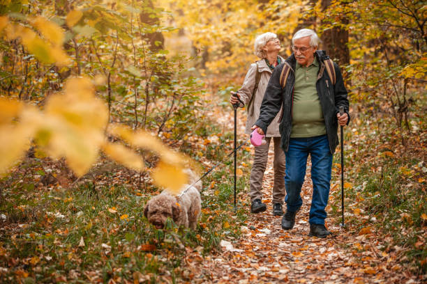 Senior Couple Searching For Truffles