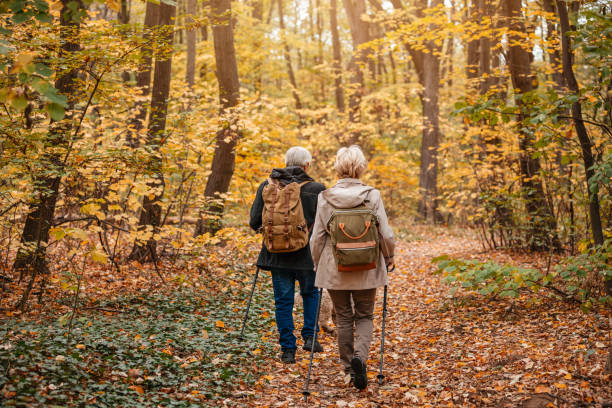 Senior Couple Searching For Truffles
