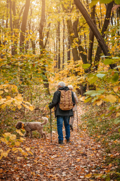 istock Senior Couple Searching For Truffles 1187990914