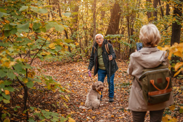 istock Senior Couple Searching For Truffles 1187990934