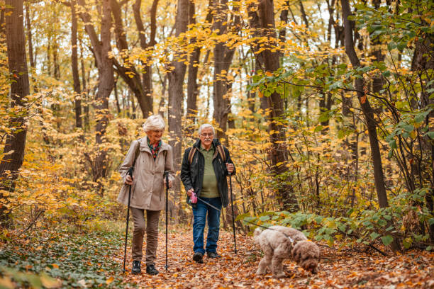 istock Senior Couple Searching For Truffles 1187990965