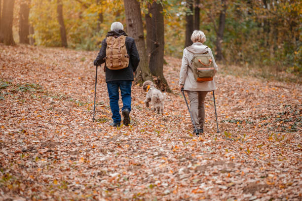 istock Senior Couple Searching For Truffles 1187990966