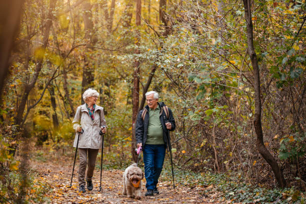 istock Senior Couple Searching For Truffles 1187991019