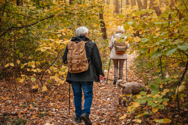 istock Senior Couple Searching For Truffles 1187991043