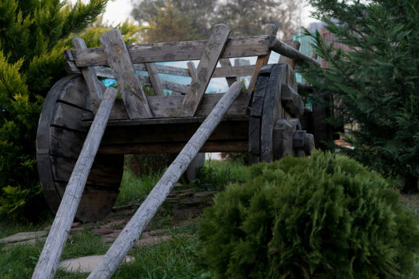istock The cart is in the bushes 1187991093
