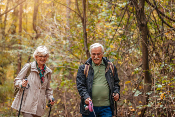 istock Senior Couple Searching For Truffles 1187991095