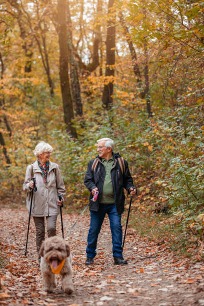istock Senior Couple Searching For Truffles 1187991111