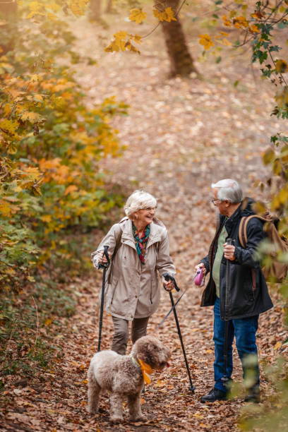 istock Senior Couple Searching For Truffles 1187991114