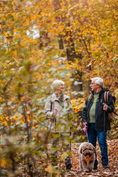 istock Senior Couple Searching For Truffles 1187991164
