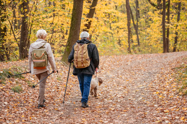 istock Senior Couple Searching For Truffles 1187991186