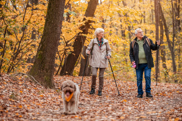 istock Senior Couple Searching For Truffles 1187991274
