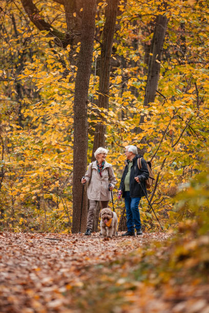 istock Senior Couple Searching For Truffles 1187991311