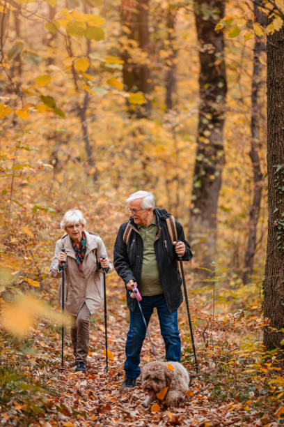 istock Senior Couple Searching For Truffles 1187991853