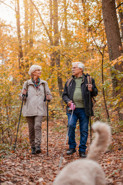 istock Senior Couple Searching For Truffles 1187992095