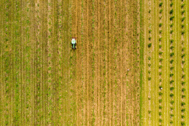 istock Aerial View Of Tractor Working In Field 1187992367