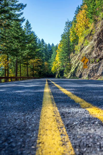 istock Yellow dividing strip on an autumn mountain road 1187992438
