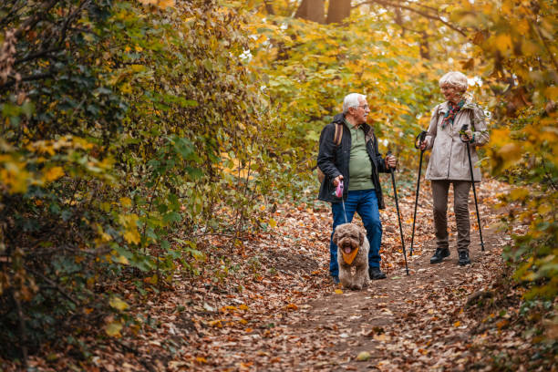 istock Senior Couple Hiking With Their Dog 1187993472