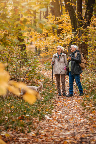 istock Senior Couple Hiking With Their Dog 1187993593