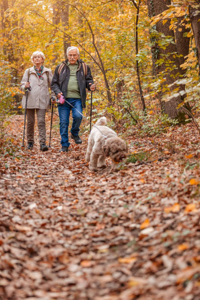 istock Senior Couple Hiking With Their Dog 1187993603