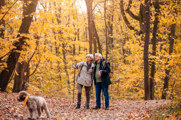 istock Senior Couple Hiking With Their Dog 1187993649
