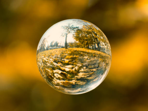 Photography of autumn yellow  trees in a clear glass crystal ball in day time. Natural lights. Public park magic view. Concepts of beauty in nature. Defocused background.