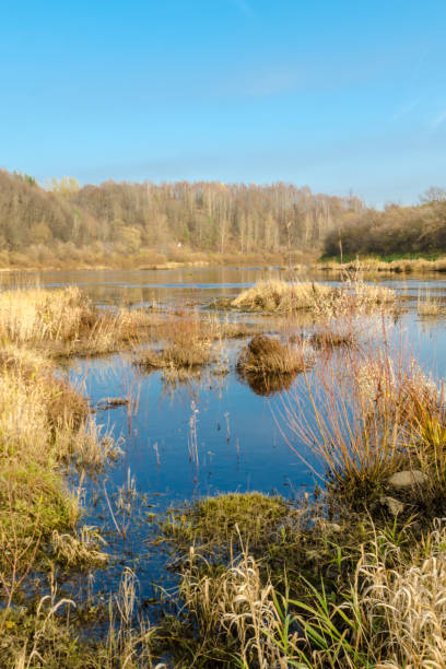 istock calm river at sunset in autumn. 1187993874