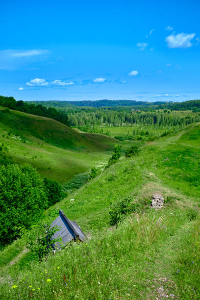 istock Sunny summer landscape with river. 1187998479