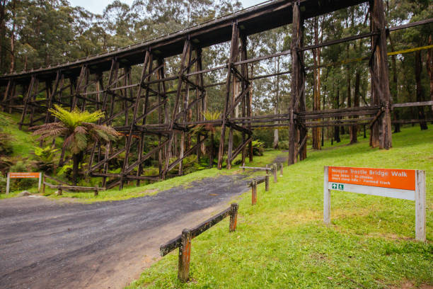 The famous Noojee Trestle Rail Bridge on a cool wet spring day in Victoria Australia