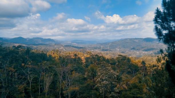 istock Landscape nature with blue sky 1187999893