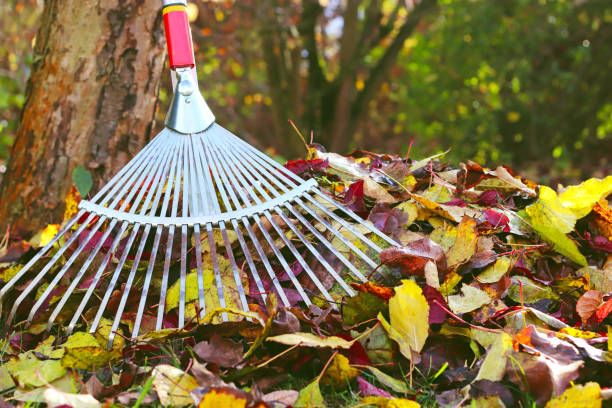 istock raking up autumn leaves 1188000787
