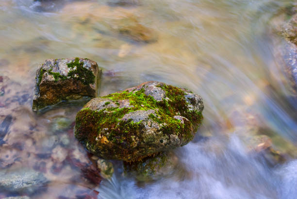 Green moss two stones in water. Long exposure.