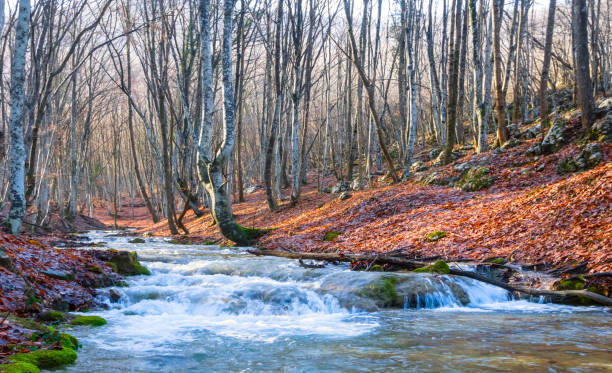 istock small river rushing through mountain canyon, autumn outdoor scene 1188003801