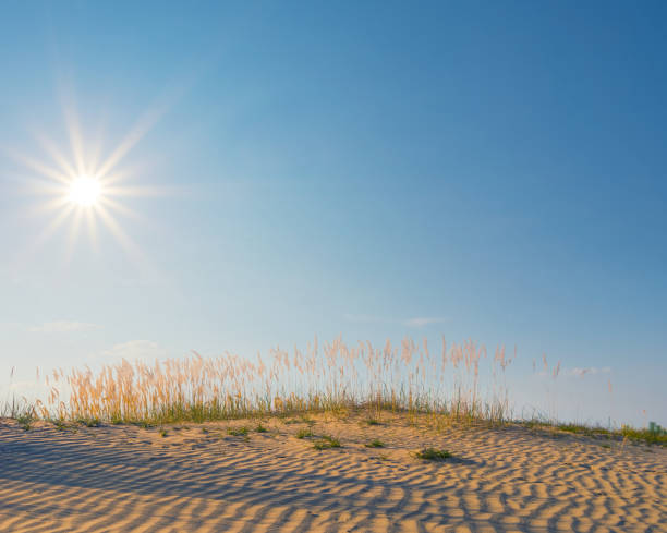 istock sandy prairie in a light of low evening sun 1188003832