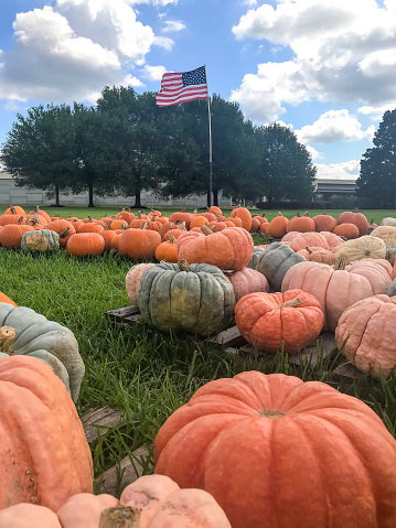 Pumpkins & Flag