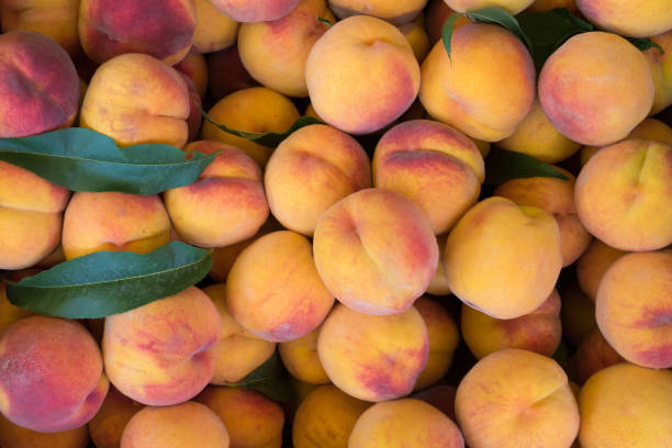 istock A close –up of fresh peaches. 1188009301