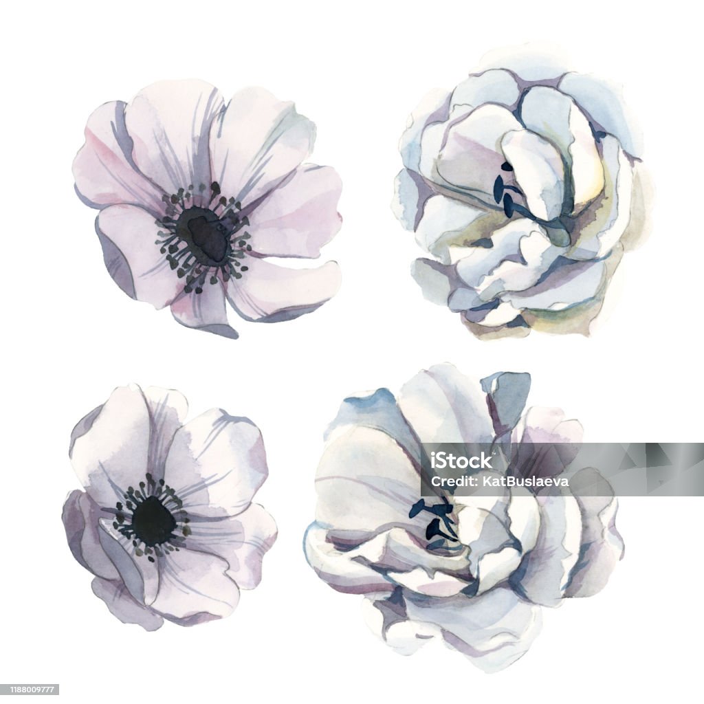 Ilustración de Ilustración De Acuarela De Flores Blancas Claras Aisladas En Fondo Blanco Elemento Floral Para Tarjetas De Boda E Invitación Para Tarjetas De San Valentín Y Estampados y más Vectores Libres Ilustración de Ilustración De Acuarela De Flores Blancas Claras Aisladas En Fondo Blanco Elemento Floral Para Tarjetas De Boda E Invitación Para Tarjetas De San Valentín Y Estampados y más Vectores Libres